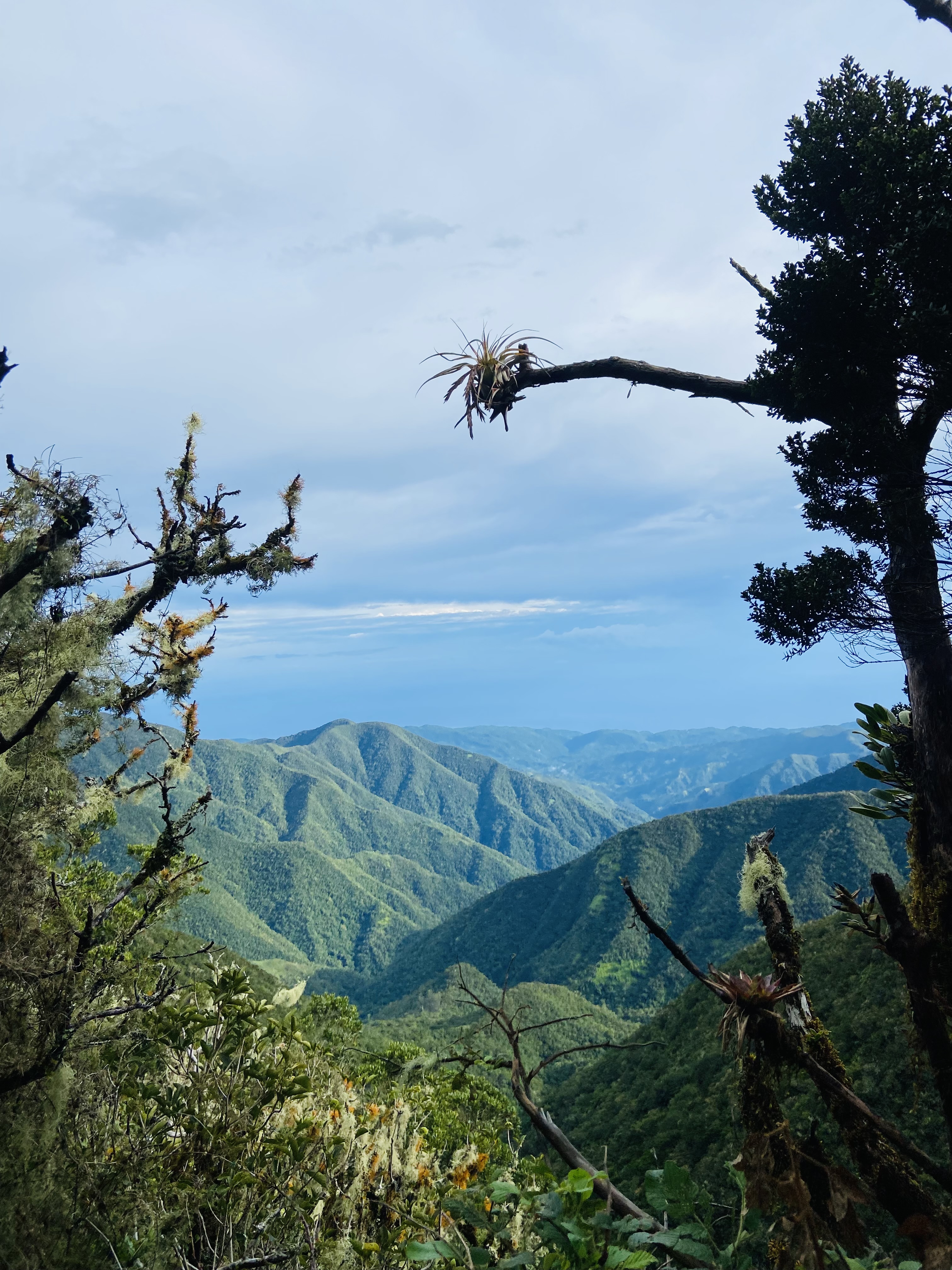 Blue Mountains, Jamaica