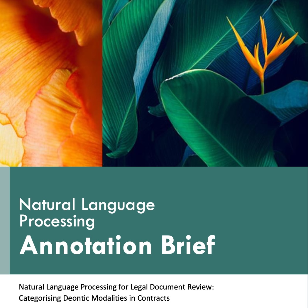 Annotation brief image